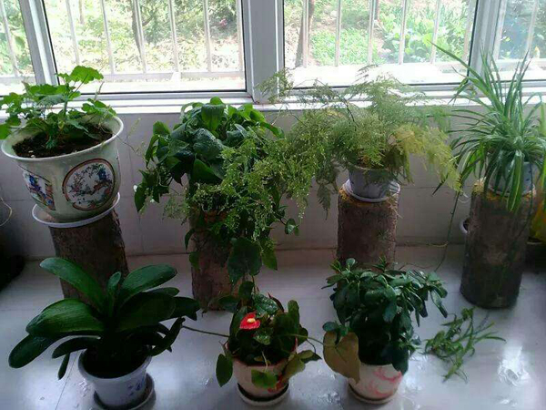 上海开展“守护消费”专项执法行动