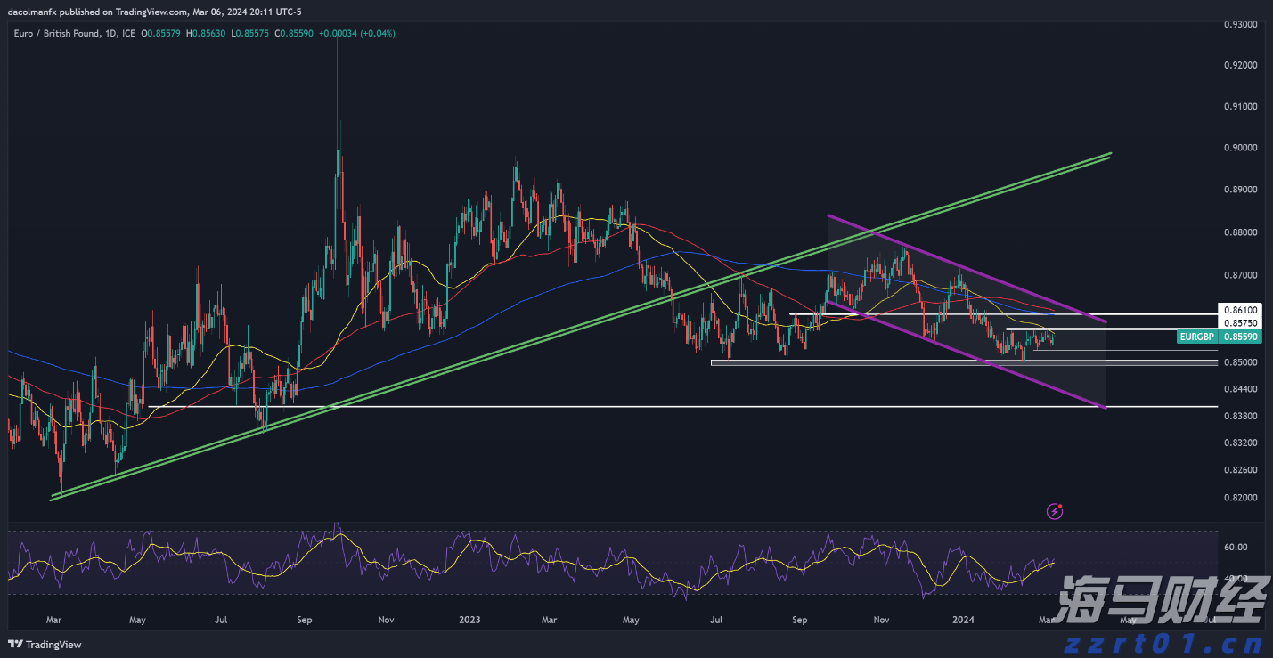 梅州海关供港澳活猪远程检疫监装模式正式启动