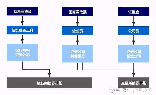 大圩镇：黄皮满枝头致富“黄金果 ”