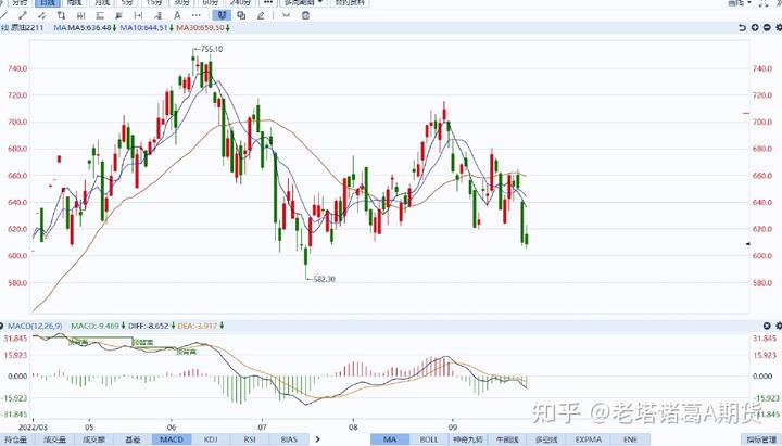 湛江台风蓝色预警信号生效！防风Ⅳ级应急响应启动