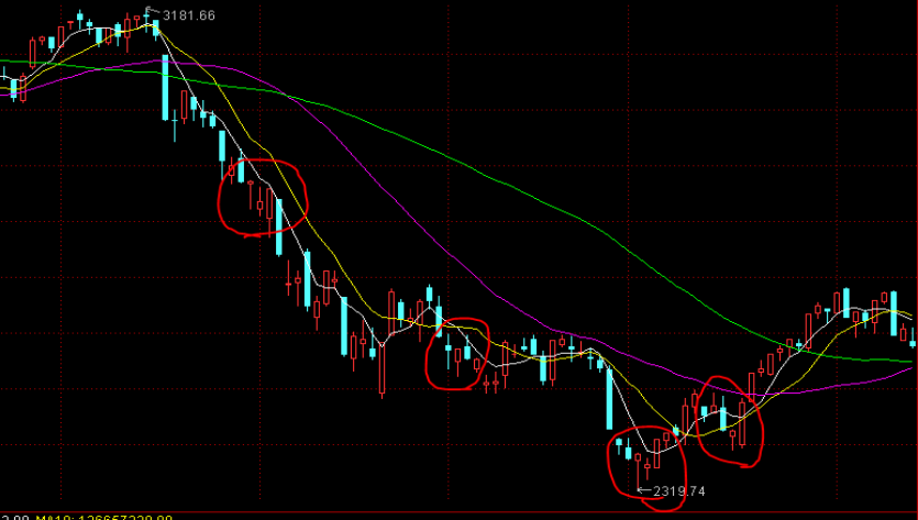 追光而行 正义花开——记全国三八红旗手王秀敏