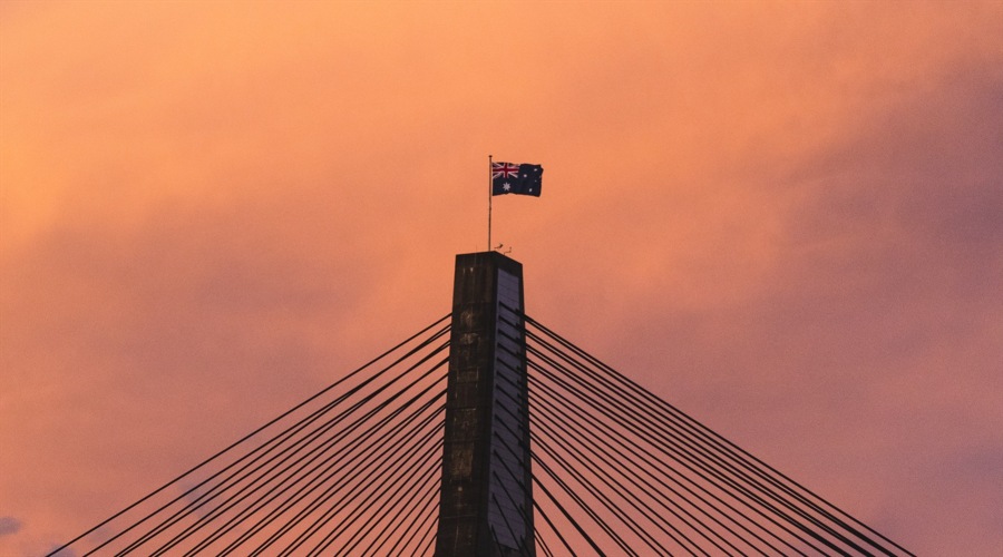 市领导到桂平市调研设施农业项目建设等工作